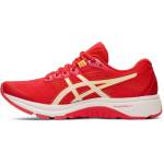 Asics GT 1012A460-700