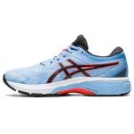 Asics GT 2000 1012A591-404