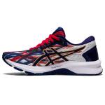 Asics GT 1012A977-100