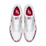 Nike Air Max 1 CJ4286-101