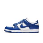 Nike Dunk Low CU1726-100